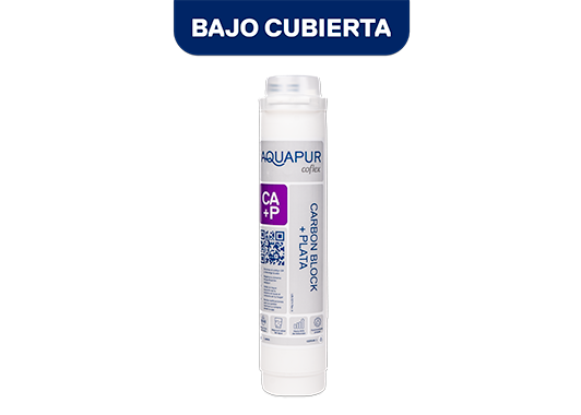 (WF-R272) Repuesto Carbón Block + Plata - Bajo Cubierta